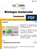 2.9. Biologia Molecular - Fotosintesis