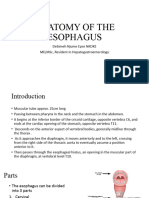 Anatomy of The Esophagus