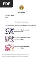 Lab Exercise3 Gram Staining Lykajanetarnate PDF