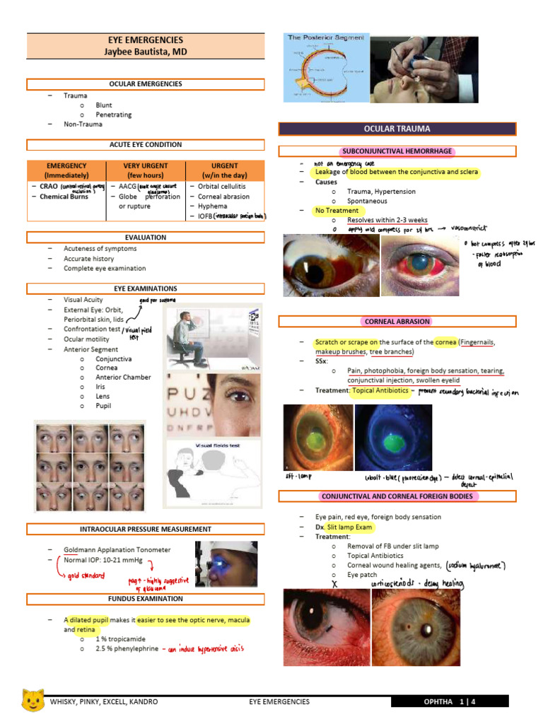 Emergencies | PDF | Injury | Human Eye
