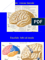 14 - RT Nei Tumori Cerebrali - Def