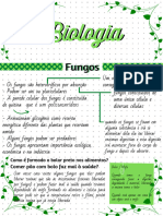 Fungos, Protozoarios, Procariontes - Biology