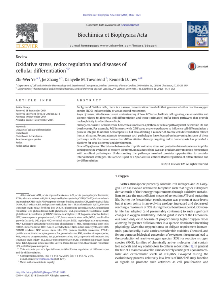 Redox and Cell Differentiation | PDF | Reactive Oxygen Species ...