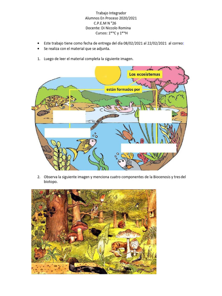 Tarea de Ecología para Alumnos | PDF | Ecología | Ecosistema
