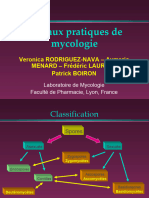 14 Mycologie Classification