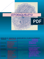 Citoesqueleto