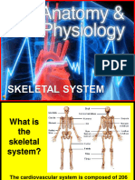 Skeletal System Final PPT Degree