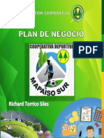 Plan de Negocio Richard Torrico Siles