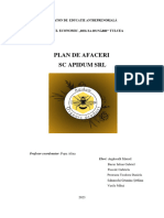 Plan de Afaceri SC APIDUM SRL - Colegiul Economic Delta Dunării"