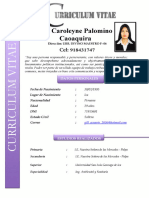 CV Gill Palomino Coaquira
