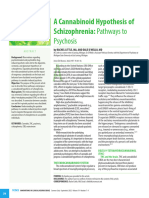 A Cannabinoid Hypothesis of Schizophrenia