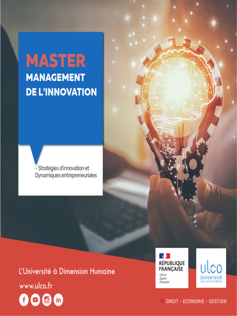 MASTER Management Innovation Parcours Strategies Innovation Dynamiques ...