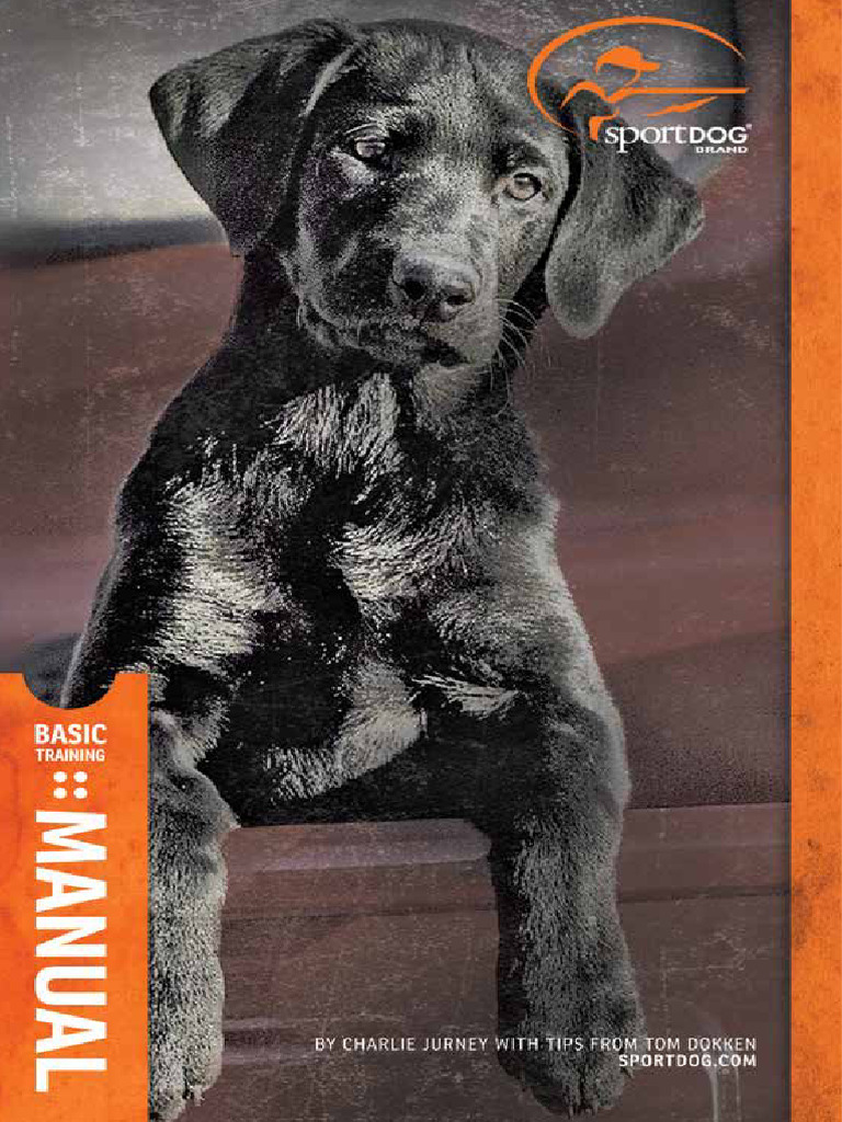 SportDOG Basic Training Manual 40011311  PDF Dog Training Dogs