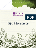Class 10 Life Process Mind Map and Notes