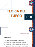 Teoria Del Fuego