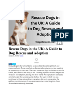 Rescue Dogs in The UK