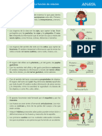 T2 Resumen