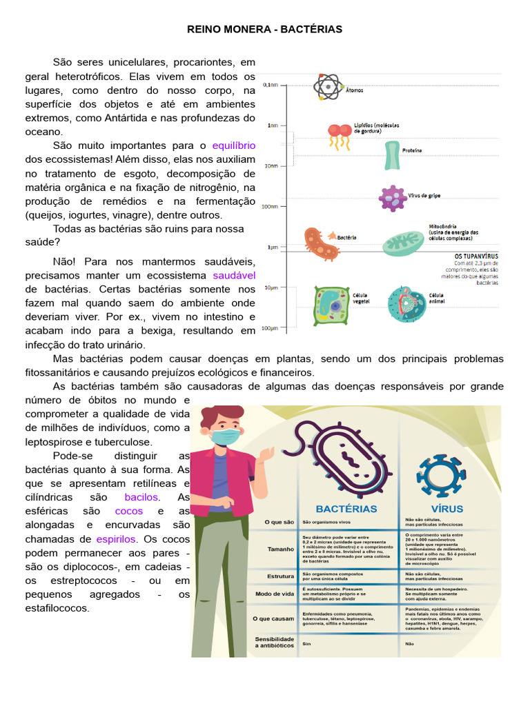Resumo Reinos Monera Protista e Fungi | PDF | Bactérias | Plantas