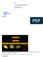 Cancer Pulmonar Chistic