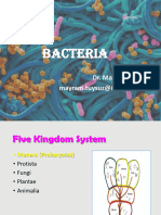 Bacteria 1