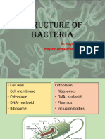 Bacteria 2