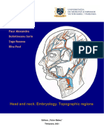 Head and Neck. Embryology. Topographic Regions