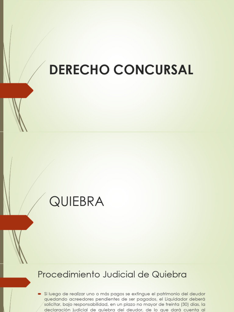 09 PDF Quiebra | PDF | Bancarrota | Liquidación