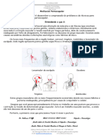 Miofascial Periescapular