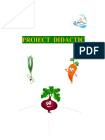 PROIECT DIDACTIC GR - Mijlocie