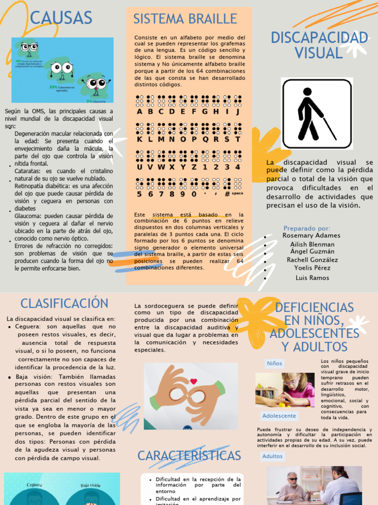 Causas y Clasificación de la Discapacidad Visual | PDF | Ojo humano ...