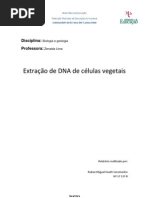 Relatório Biologia 11º Extração do DNA
