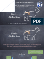 Parto Distócico