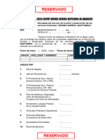 Modelo Informe Ronda