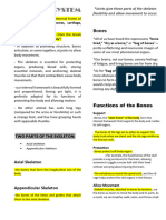 Reviewer Skeletal System