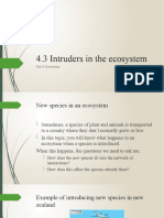 4.3 Intruders in The Ecosystem