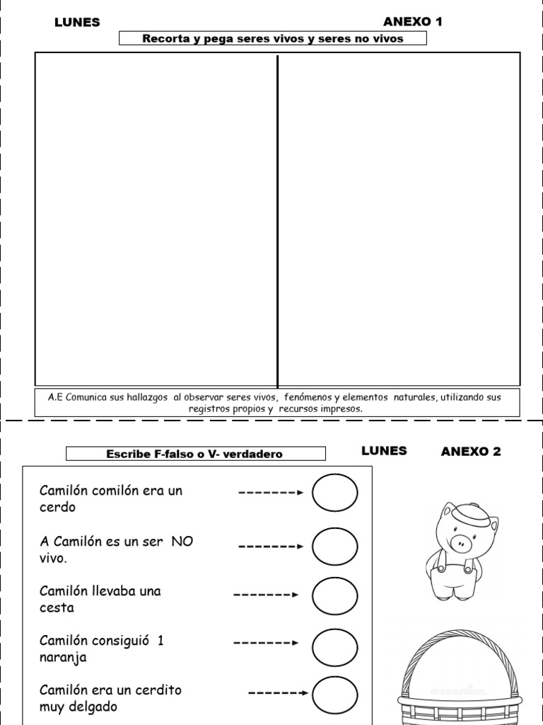 nervous system worksheet answers