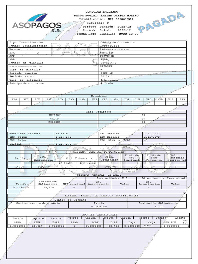 Planilla Fabian Ortega 12 Pdf Pensión Economía Demográfica