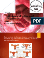 Embriologiafasesdelciclomenstrualexposicion 140916125506 Phpapp01