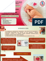 Cuidados de Enfermería en Recien Nacidos Con Malformaciones Urológicas y Renales