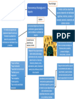 Mapa Neurociencia