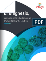 El MG Nutriente Olvidado Que Puede Salvar A Tu Cultivo