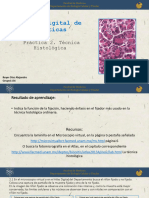 Practica 2. Tecnica Histologica