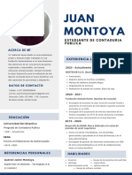 Curriculum Profesional Juan Montoya ACTUALIZADO