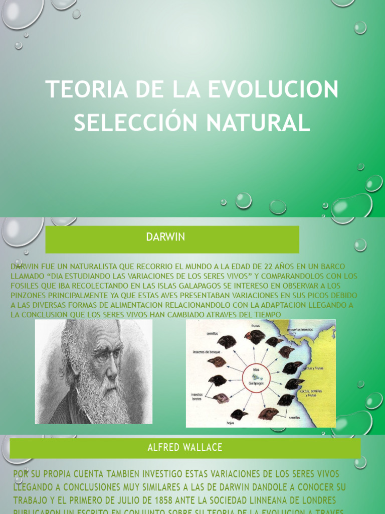 Teoría de la Evolución y Selección Natural | PDF | Charles Darwin ...