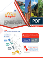 A Glimpse of Peru in Figures