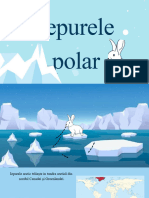 Iepurele Polar