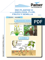 BIO - Sem11 - Reino Plantae II Organología, Flor, Fruto y Semilla