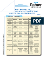 BIO Sem12 Reino Animalia I