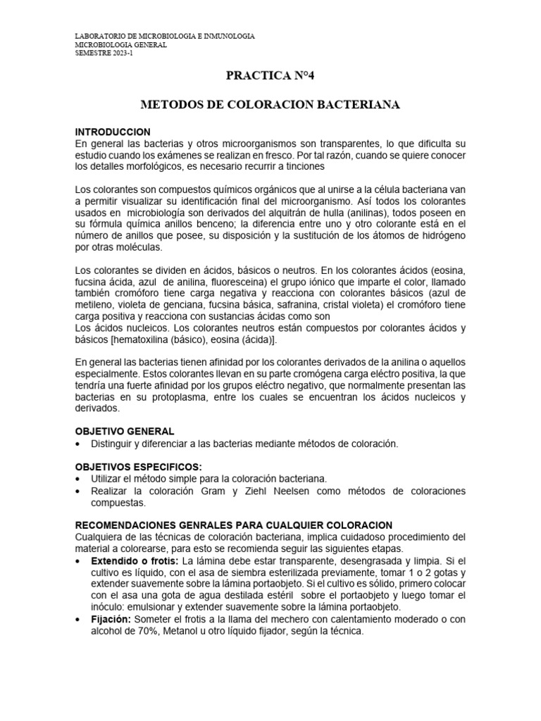 Métodos de Coloración Bacteriana en Microbiología | PDF | Tinción | Las ...