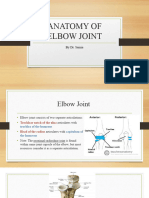 Anatomy of Elbow Joint